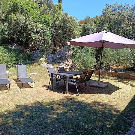 Garden Apartment Пиешчана Увала Екстериор снимка