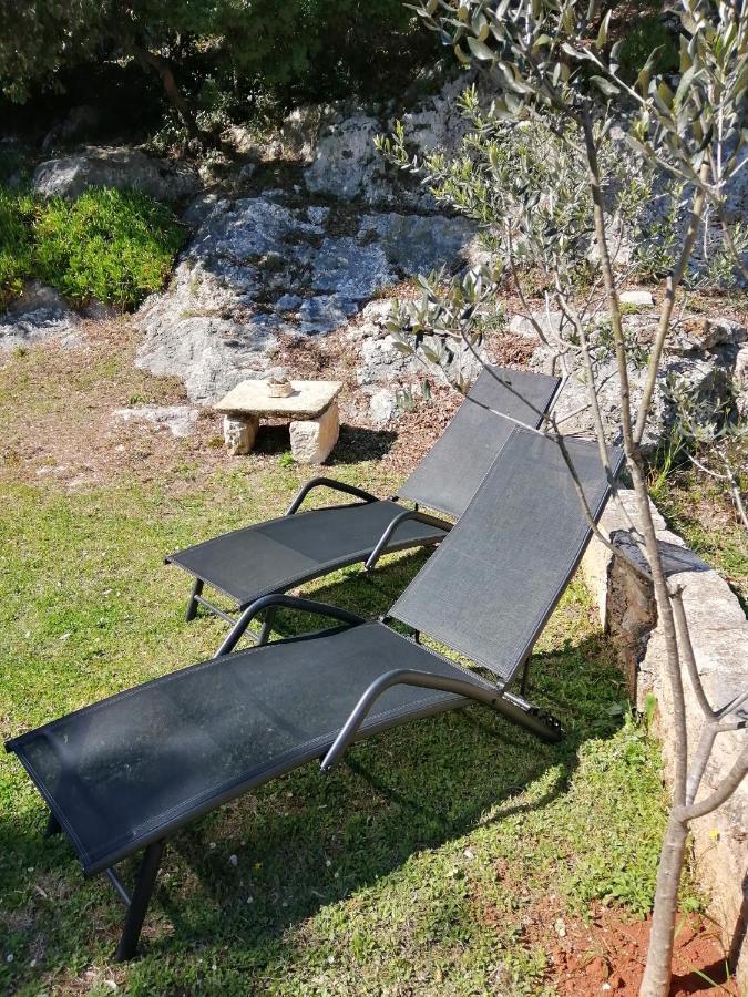 Garden Apartment Пиешчана Увала Екстериор снимка
